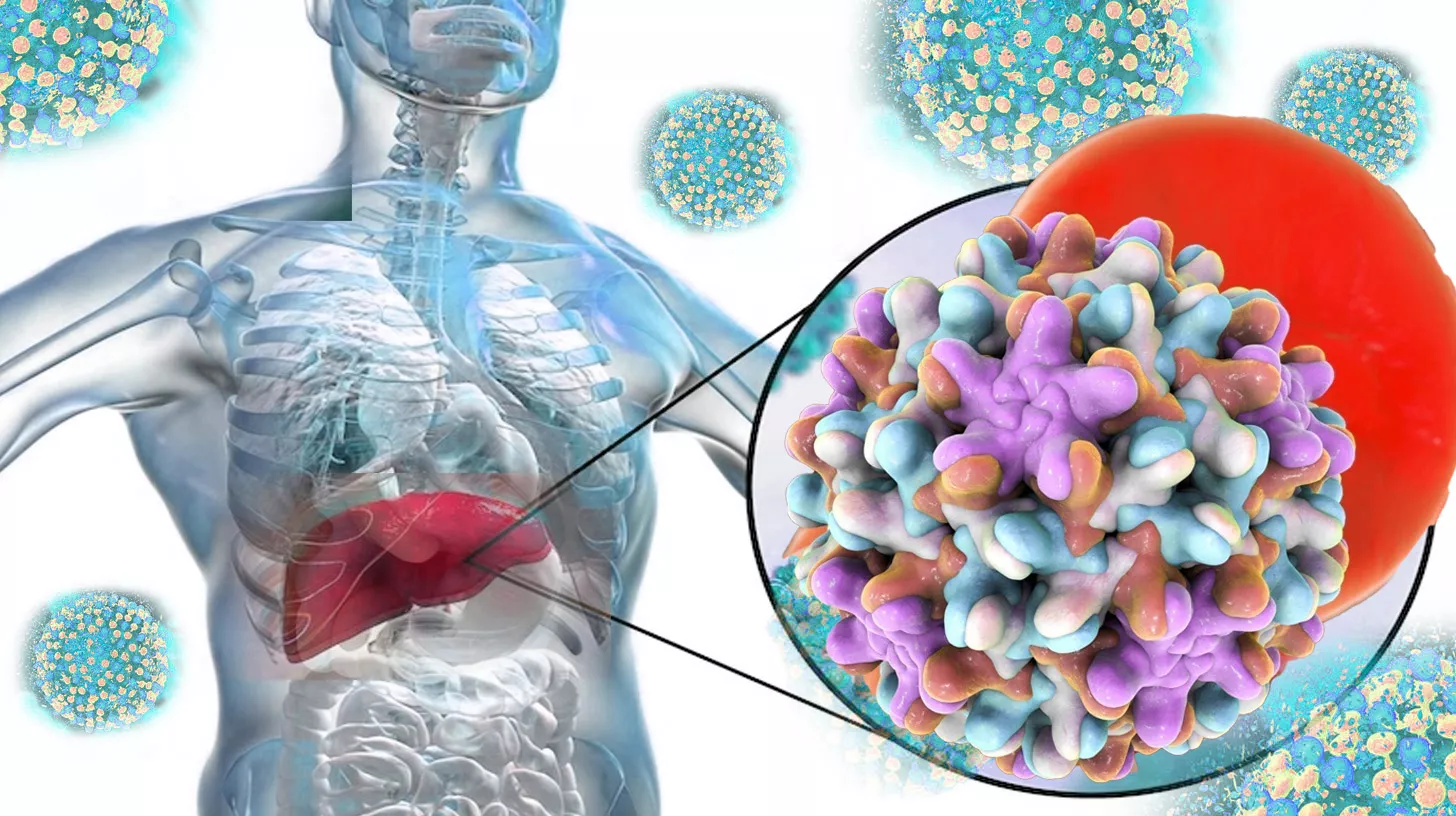 Get Hepatitis B Vaccine in the Philippines | Fast, Safe & Confidential at PULSE Clinic