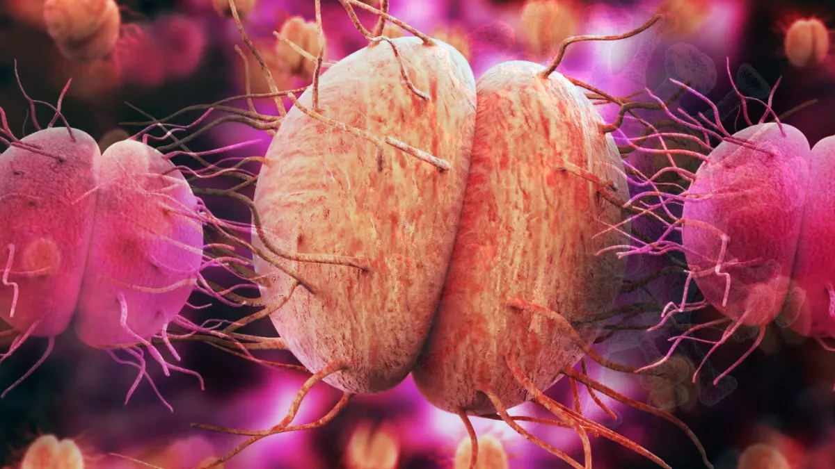 Gonorrhea Testing in the Philippines