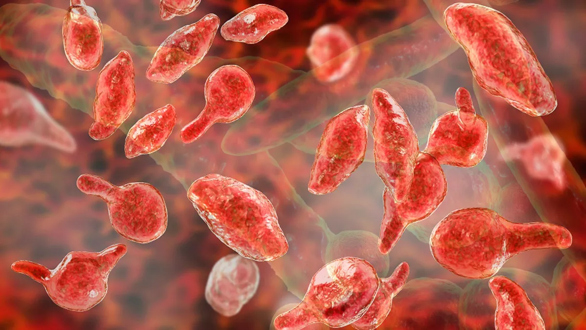 Mycoplasma Genitalium (Mgen) in the Philippines: Causes, Symptoms, Testing & Treatment