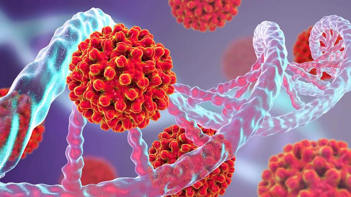 Understanding Hepatitis A Virus: Symptoms, Risks, Prevention & Why Vaccination Matters