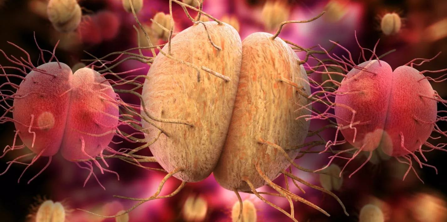 Gonorrhoea in the Philippines—Symptoms, Testing, Complications, and Treatment