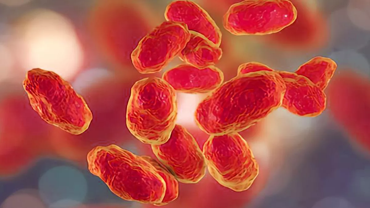 Mycoplasma Hominis in the Philippines—Causes, Symptoms, Testing & Treatment